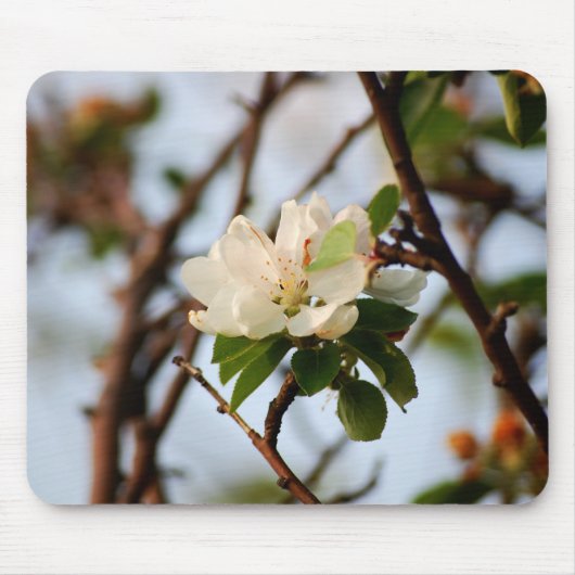 桜の花 マウスパッド (正面)