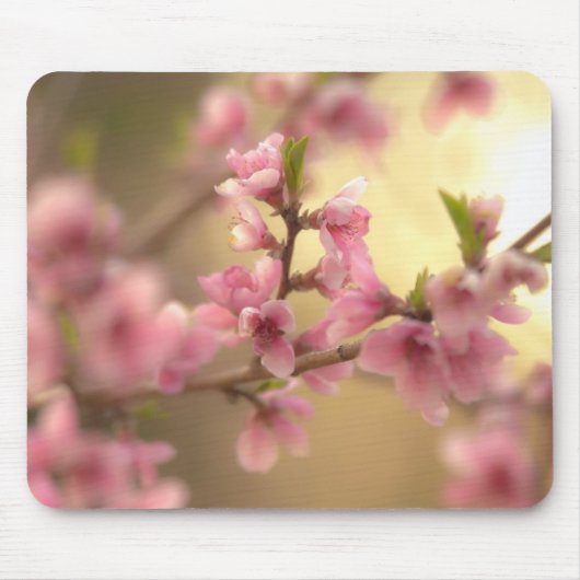 桜の花 マウスパッド (正面)