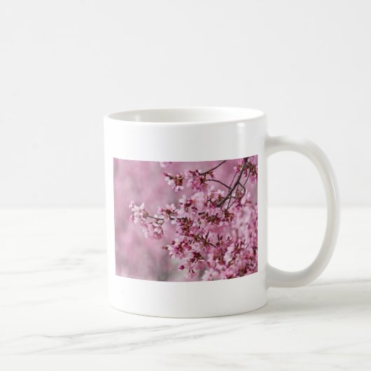 桜の花 淡いピンクの層 コーヒーマグカップ (右)