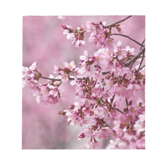 桜の花 淡いピンクの層 ノートパッド (正面)