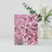 桜の花 淡いピンクの層 ポストカード (スタンド正面)