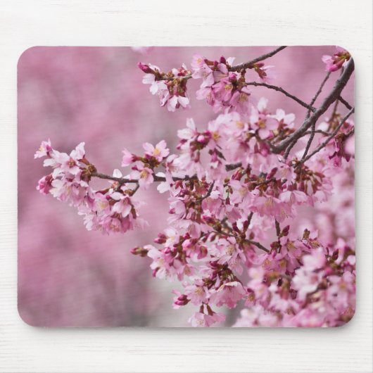桜の花 淡いピンクの層 マウスパッド (正面)