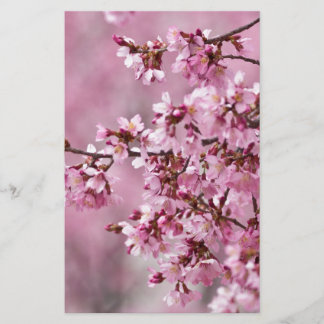 桜の花 淡いピンクの層 便箋