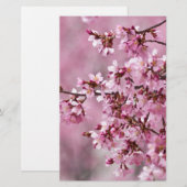 桜の花 淡いピンクの層 便箋 (正面/裏面)