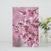 桜の花 淡いピンクの層 便箋 (スタンド正面)