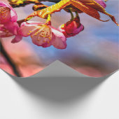 桜の芽が開いて開花 ラッピングペーパー (角)