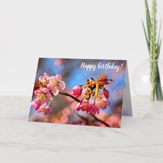 桜の芽が開き、春で開花する準備ができている カード (正面)