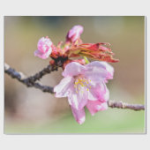 桜の芽と花、緑、ベージュの背景 ラッピングペーパー (フラット)