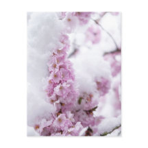 桜の葉のポストカード
