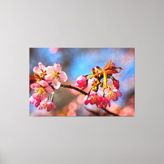 桜の蕾が春の開花に向けて準備ができた キャンバスプリント (正面)