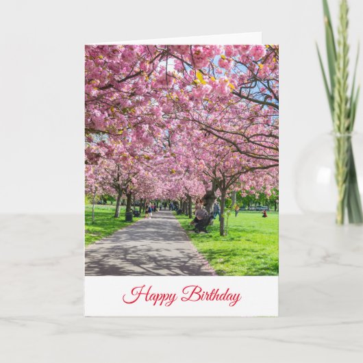 桜の誕生日カード カード (正面)