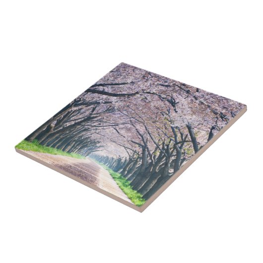 桜の車線 タイル (側面)