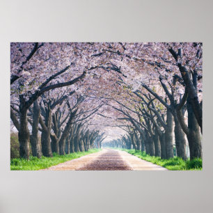 桜の車線 ポスター
