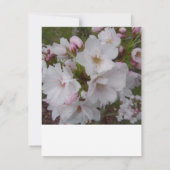 桜のRSVP返信カード 出欠カード (裏面)