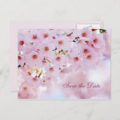 桜のSave the Dateお知らせポストカード 案内ポストカード (正面/裏面)
