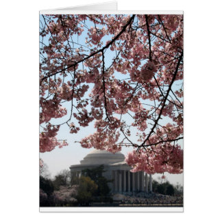 桜のWashington D.C.