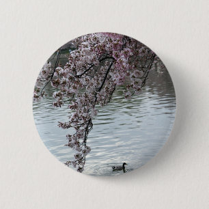 桜のWashington D.C. 缶バッジ