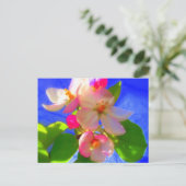 桜はがき ポストカード (スタンド正面)