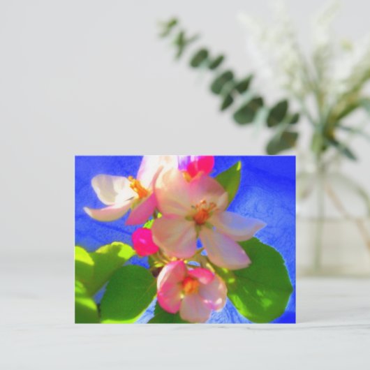 桜はがき ポストカード (スタンド正面)