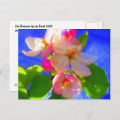 桜はがき ポストカード (正面/裏面)