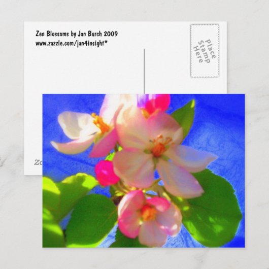 桜はがき ポストカード (正面/裏面)