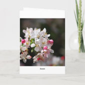 桜はすぐによく得ます カード (裏面)