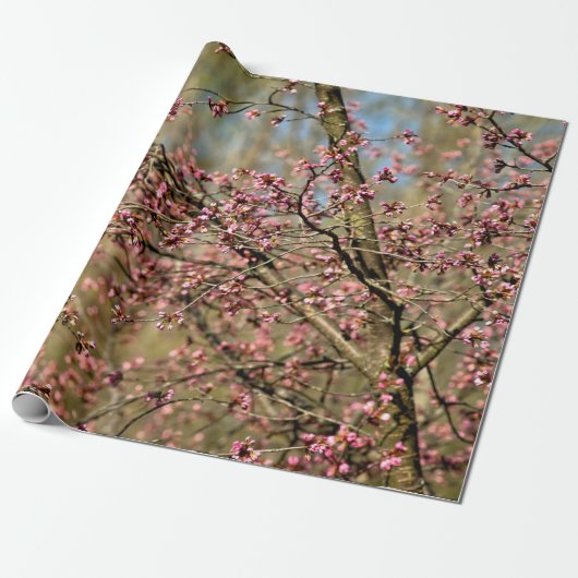 桜ツリーは開花の準備ができている春 ラッピングペーパー (アンロールド)
