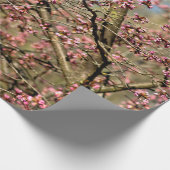 桜ツリーは開花の準備ができている春 ラッピングペーパー (角)