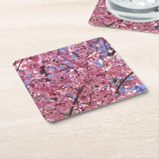 桜ピンクさくらんぼブロッサムスカイ スクエアペーパーコースター (アングル)