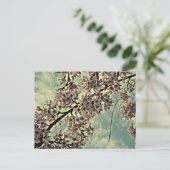 桜写真 ポストカード (スタンド正面)