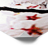 桜撮影 ポスター (角)