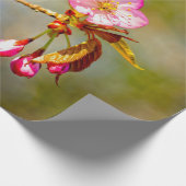 桜花の天然組成 ラッピングペーパー (角)