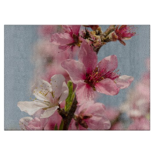 桜花桃色日本の花 カッティングボード (正面)