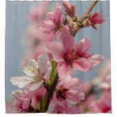 桜花桃色日本の花 シャワーカーテン (正面)