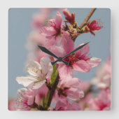 桜花桃色日本の花 スクエア壁時計 (正面)