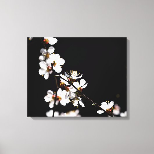 桜花 キャンバスプリント (正面)