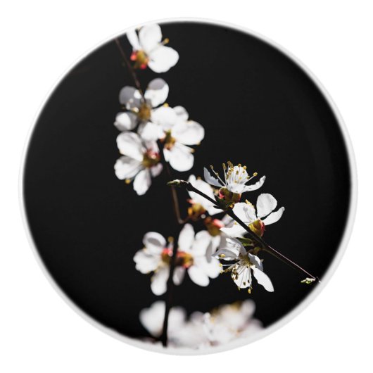 桜花 セラミックノブ (正面)