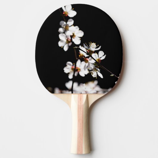 桜花 卓球ラケット (正面)