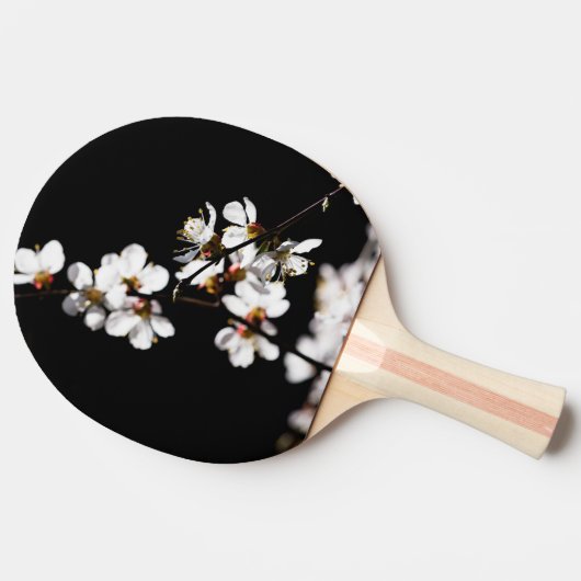 桜花 卓球ラケット (横)