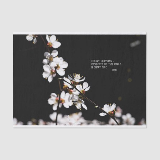 桜花 薄葉紙 (正面)