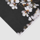 桜花 薄葉紙 (詳細)