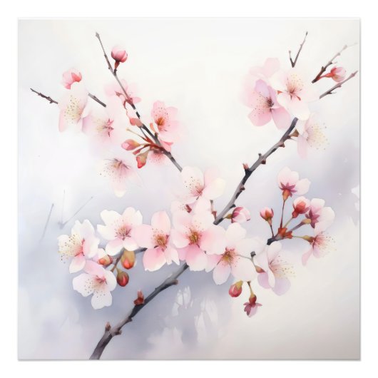 桜開花枝 フォトプリント            (正面)