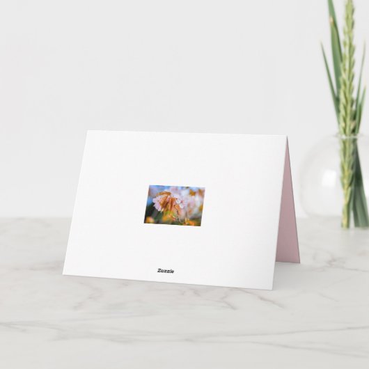 桜魅力的の春 カード (裏面)