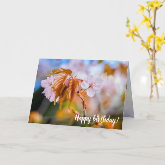 桜魅力的の春 カード (黄色い花)