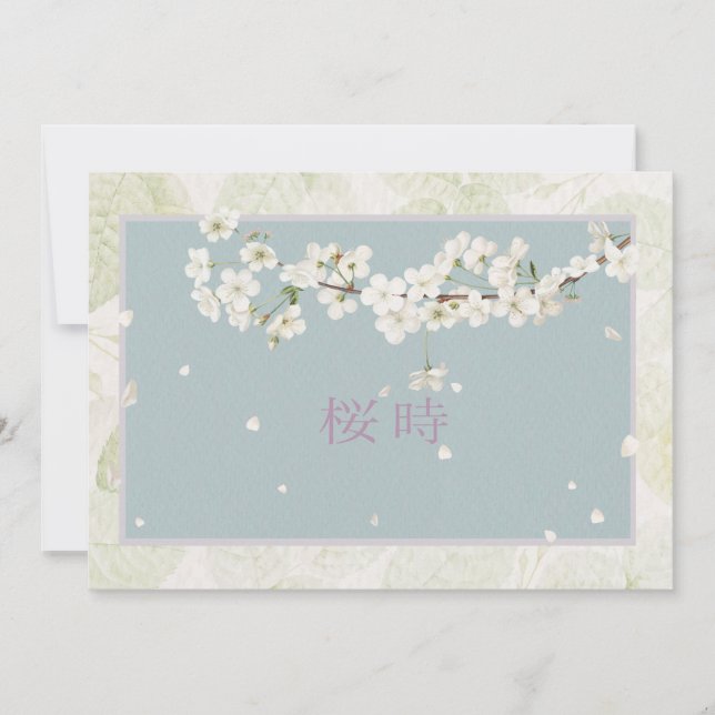 桜 (正面)