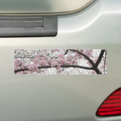 桜10のバンパーステッカー バンパーステッカー (車上)