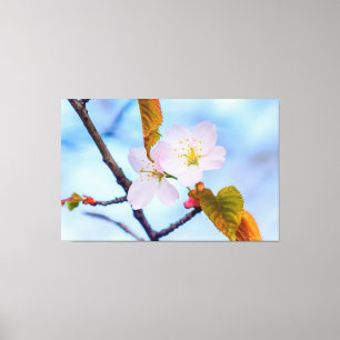 桜2本淡い色のの春色の花 キャンバスプリント