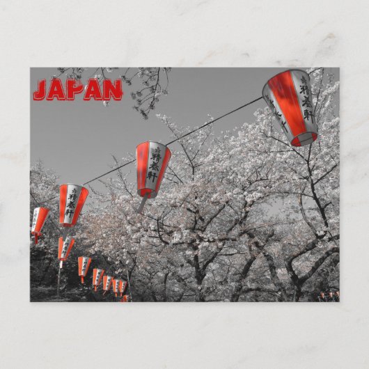 桜2014はがき ポストカード (正面)