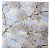 桜2 タイル (正面)