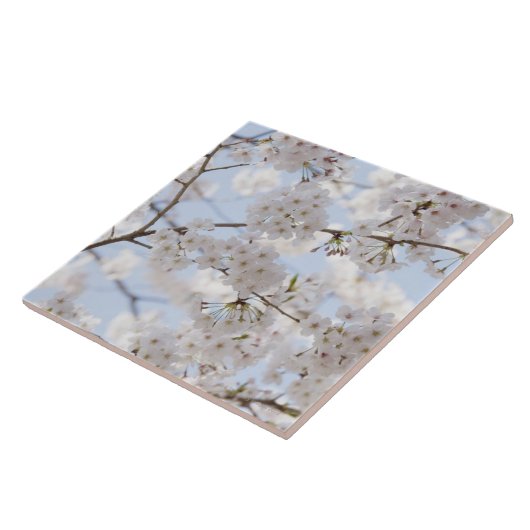 桜2 タイル (側面)